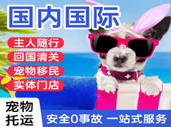宜昌三峡机场快递国际宠物托运 【国